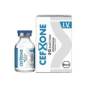 Cefxone IV Injection 2g