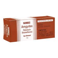 Amgydex 3.5g E/Oint 1s