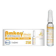 Amkay 250mg Inj 1 S