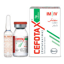 Cefotax Inj 1 Gm 1 Vial
