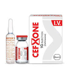 Cefxone Inj Iv 1 Gm 1 Vial