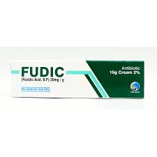 FUDIC OINTMENT 15GM