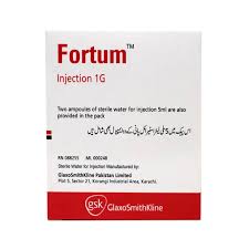Fortum 1Gm Inj 1 s