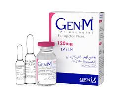 GEN-M 120MG INJ 1S