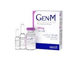 Gen-M 60mg Iv/Im Inj 1s
