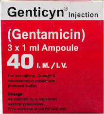 Genticyn 40Mg Inj 3s