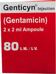 Genticyn 80Mg Inj 2s