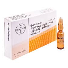 Gravibinan 1Ml Inj 1 s