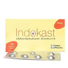 Indokast Tab 10 Mg 14's