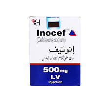 Inocef Inj Im 500 Mg 1 Vial