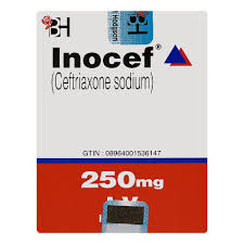 Inocef Inj Iv 250 Mg 1 Vial