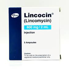 LINCOCIN 600MG INJ 5s