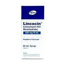 Lincocin Susp 250 Mg 60ml 1s