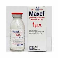 Maxef 1000mg IM Inj