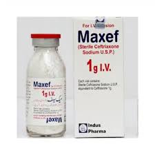 Maxef 1000mg IV Inj