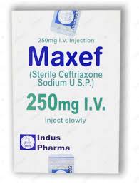 Maxef 250mg IV Inj