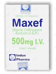Maxef 500mg IV Inj