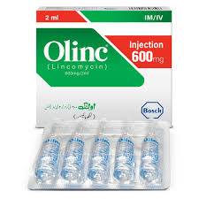 Olinc Inj 600mg 50S
