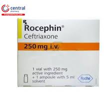 Rocephin 250mg injection