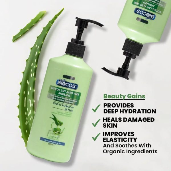 2_366e61cd-4b59-444f-a21c-bddb6b36bd71