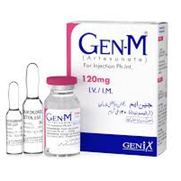 GEN-M 120MG INJ 1S