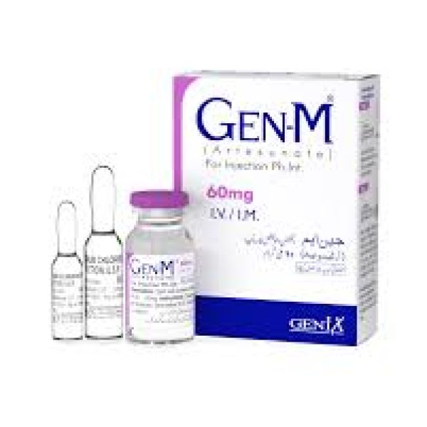 Gen-M 60mg Iv-Im Inj 1s