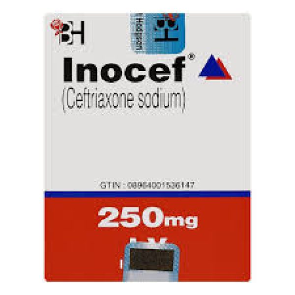 Inocef Inj Iv 250 Mg 1 Vial