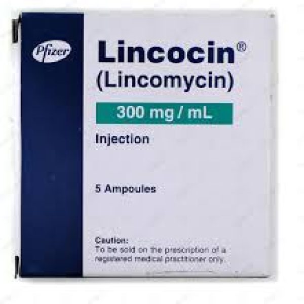 LINCOCIN 300MG INJ 5s