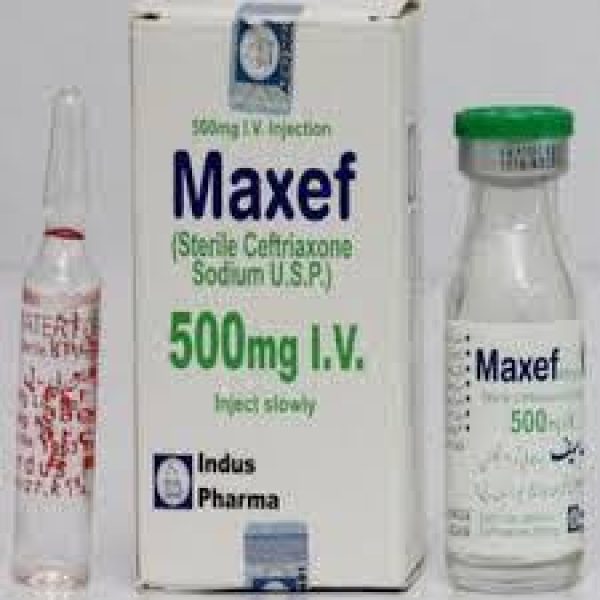 Maxef 500mg IM Inj