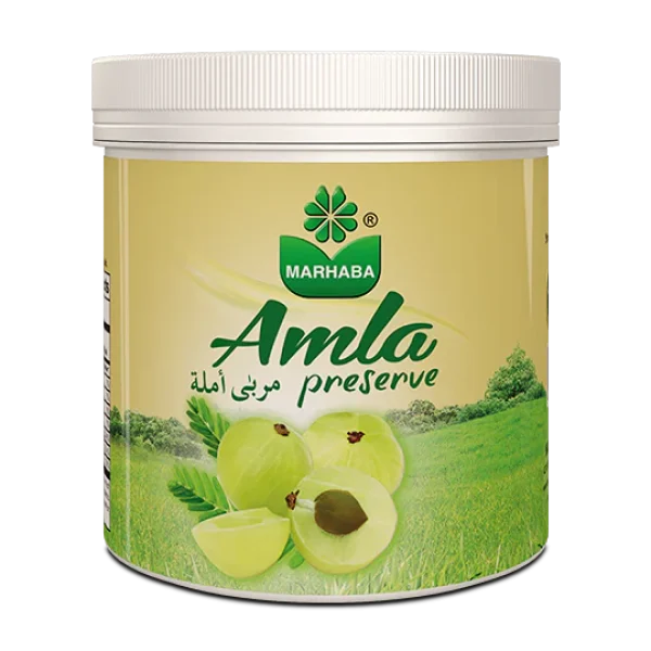 aamla-murabba500gm_540x
