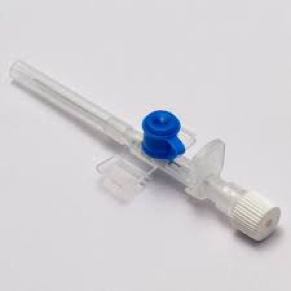 iv cannula 22
